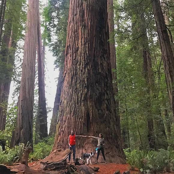 Meet your Posher, Walter - Picture 1 of 1